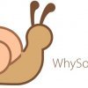 WhySoSlow