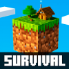 One Block Survival