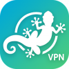 Gecko VPN